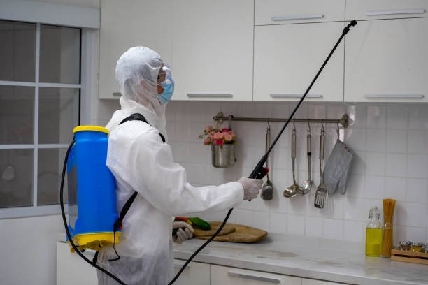 health care worker in white jumpsuit and protective face mask using spraying machine to disinfect virus pandemic.  Health care and medicine concept. New normal social distancing concept.
