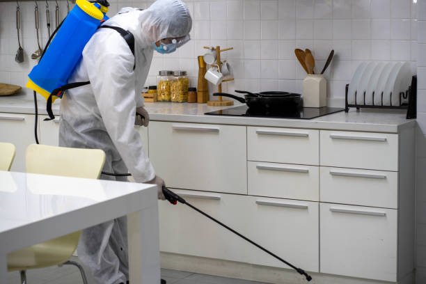health care worker in white jumpsuit and protective face mask using spraying machine to disinfect virus pandemic.  Health care and medicine concept. New normal social distancing concept.
