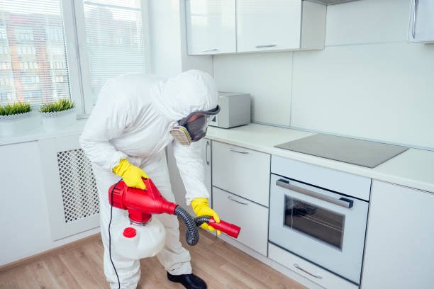Worker spraying pesticide on induction hob.