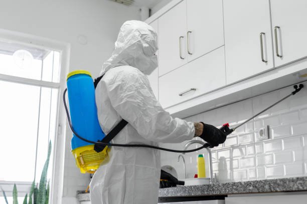 Young male exterminator worker spraying insecticide chemical in kitchen